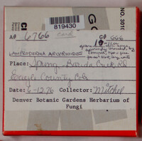 Image Associated With the Occurence